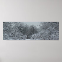 Winter Panorama