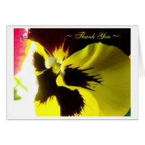 "Winter Pansy" cards