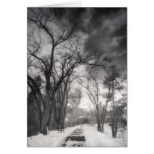 Winter Pathways Cards