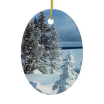 Winter Photo Template Christmas Ornament