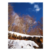 winter photo