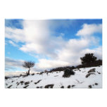 winter photo