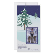 Winter Pines #1 Holiday Photo Card
