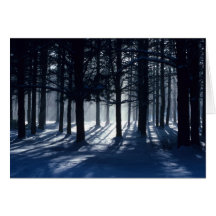 WINTER: Pines in snow Card