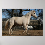 Winter Playtime Posters