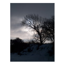 Winter Post Card