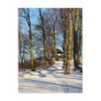 winter post cards