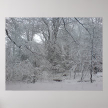 Winter Posters
