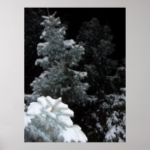 Winter Poster