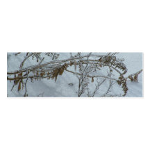 Winter Reflections Bookmark Business Card Template