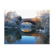 Winter Reflections Post Cards