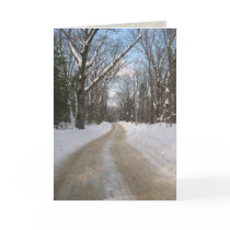 Winter Road