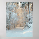Winter Road Print