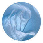 Winter Rose Christmas Cards Envelope Seals Round Stickers