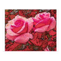 Winter Rose Postcards