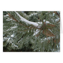Winter Scene Christmas Card