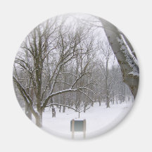Winter Sleep Magnet