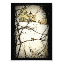 Winter Snow and Cold Art Photo