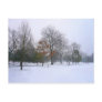 Winter Snow, Bute Park, Cardiff, Wales Postcards