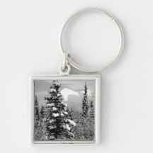 Winter Snow Keychain