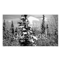 Winter Snow; Merry Christmas Business Cards