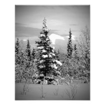 Winter Snow Photographic Print