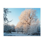 Winter Snow Scape Post Card