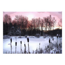 Winter Solstice Party Personalized Announcement