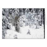 Winter Spirits Card