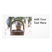 Winter Squirrel in Snow Photo Card Template