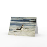 "Winter Squirrel" Wildlife Photo Greetig Card