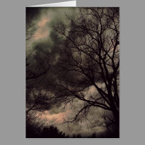 Winter Storm notecard cards