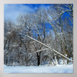 Winter Storm Oil posters