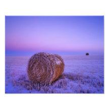 Winter Straw Bales near Cartwright North Art Photo