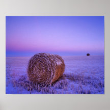 Winter Straw Bales near Cartwright North Posters