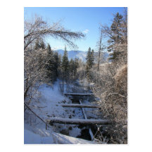 Winter Stream Post Card