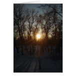 Winter Sunrise Between Trees Card