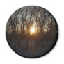 Winter Sunrise Between Trees Magnet