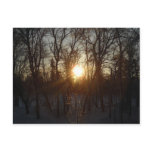 Winter Sunrise Between Trees Post Card