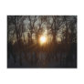 Winter Sunrise Between Trees Post Card