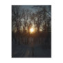 Winter Sunrise Between Trees Postcards
