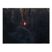 Winter sunrise postcards