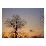 Winter Sunset Cards