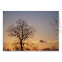 Winter Sunset cards