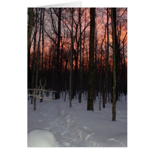 Winter Sunset Greeting Card