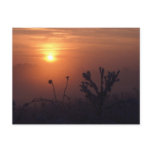 Winter sunset, Norfolk, England - Postcard