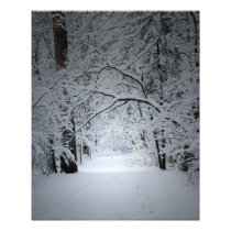 winter trail photographic print