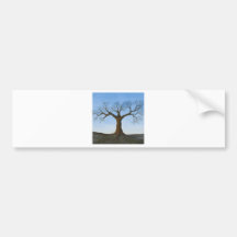 Winter Tree Bumper Sticker