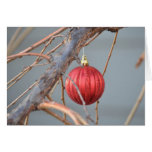 Winter Tree Card
