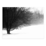 Winter tree post cards